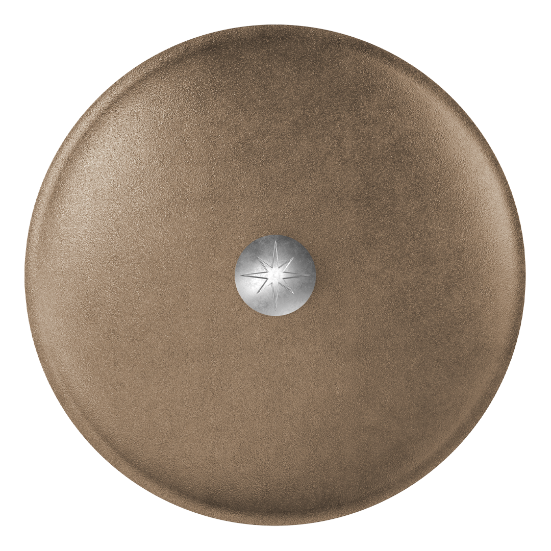 12-Inch Cast Iron Lid