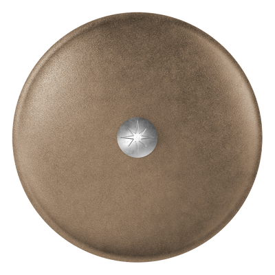 12-Inch Cast Iron Lid